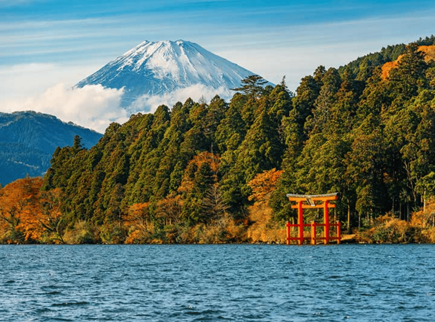 Tokyo: Mt. Fuji and Hakone tour with English Speaking Driver - Your driver, vehicle, and comfort