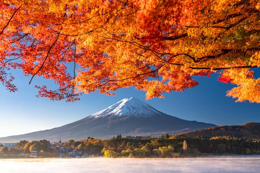 Tokyo: Mt. Fuji and Kawaguchiko Full-Day English Guided Tour - Fuji 5th Station at 2,305 meters