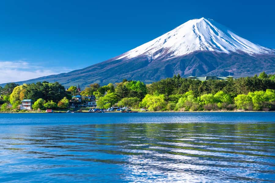 Tokyo: Mt. Fuji and Kawaguchiko Full-Day English Guided Tour - The long return to Tokyo