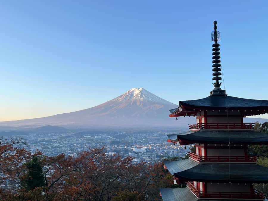 Tokyo: Mt Fuji Area Guided Tour with Traditional Lunch - Key points to know before booking