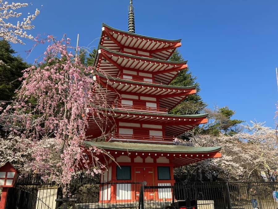 Tokyo: Mt Fuji Area Guided Tour with Traditional Lunch - Mt. Fuji’s 4th or 5th station