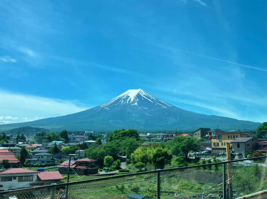 Tokyo: Mt Fuji Area Guided Tour with Traditional Lunch - A traditional lunch at Hotel Regina Kawaguchiko