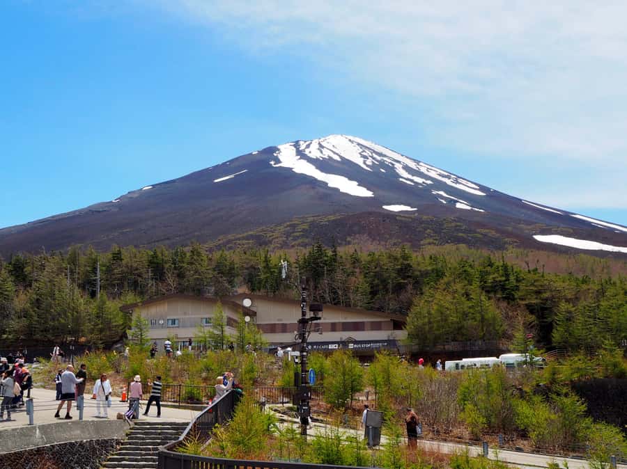 Tokyo: Mt Fuji Area Guided Tour with Traditional Lunch - Arakura Sengen Shrine and the famous pagoda view