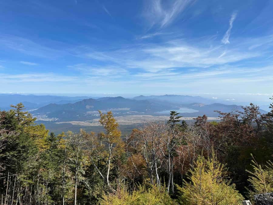 Tokyo: Mt Fuji Area Guided Tour with Traditional Lunch - The weather question: how much does it matter?