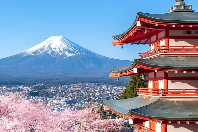 Tokyo: Mt.Fuji Area, Oshino Hakkai & Kawaguchi Lake Day Trip - The winter alternative at Arakurayama Sengen Park