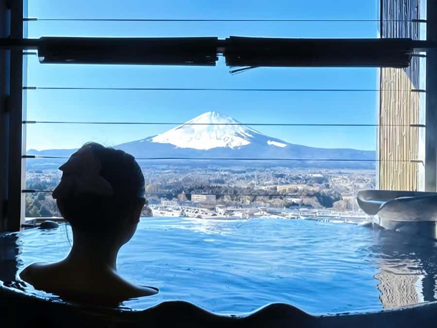 Tokyo: Mt. Fuji Cherry Blossom DayTrip & Yamanaka Hot Spring - What this Mt. Fuji day trip is really like