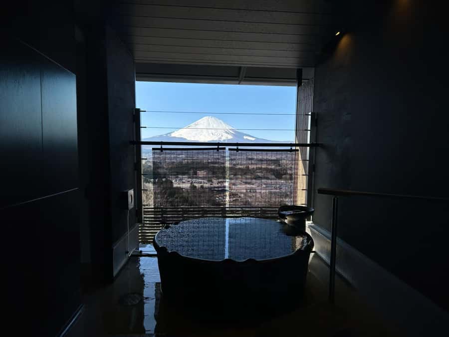 Tokyo: Mt. Fuji Cherry Blossom DayTrip & Yamanaka Hot Spring - Benifuji no Yu at Lake Yamanaka
