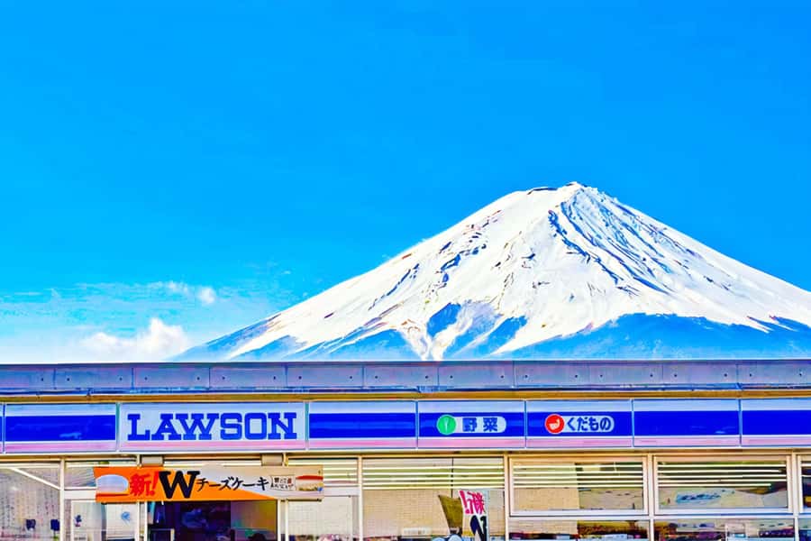 Tokyo: Mt. Fuji Cherry Blossom DayTrip & Yamanaka Hot Spring - Who will get the most from this tour