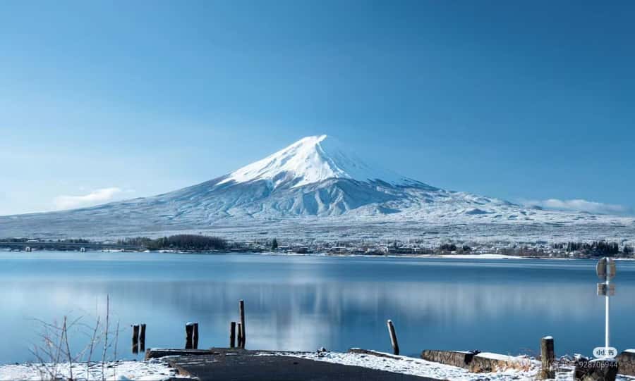 Tokyo: Mt. Fuji Cherry Blossom DayTrip & Yamanaka Hot Spring - Starting from Tokyo between 7:00 and 8:00