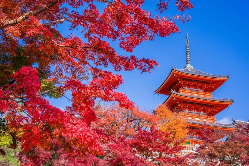Tokyo: Mt. Fuji, Hakone, Arakura Fuji Sengen w/ Ramen Making - Arakura Fuji Sengen Shrine and the 398-step climb