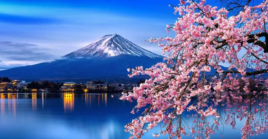 Tokyo: Mt. Fuji & Hakone Cherry Blossoms Private Day Tour - Chureito Pagoda and Cherry Trees
