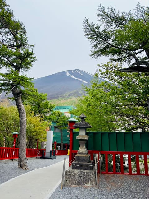 Tokyo: Mt. Fuji & Hakone Cherry Blossoms Private Day Tour - Kitaguchi Hongu Fuji Sengen Jinja
