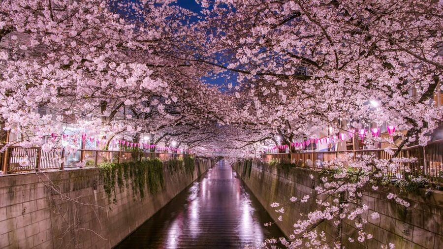 Tokyo: Mt. Fuji & Hakone Cherry Blossoms Private Day Tour - Lake Ashi and Hakone’s Volcanic Setting