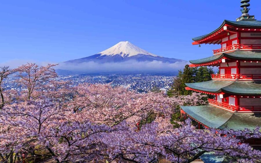 Tokyo: Mt. Fuji & Hakone Cherry Blossoms Private Day Tour - Mt. Fuji 5th Station: The First Big View