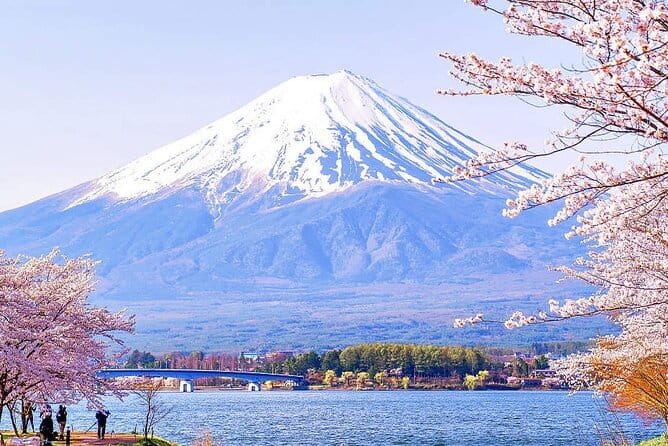 Tokyo Mt. Fuji Hakone Shrine, Owakudani, Lake Yamanakai Day Tour - Oshino Hakkai’s clear spring ponds