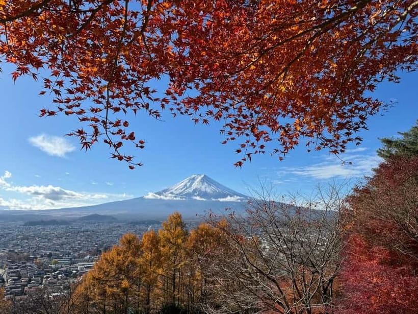 Tokyo: Mt. Fuji Highlights Tour with Lake Kawaguchi Cruise - Shimoyoshida Honcho Street and the Fuji-facing view