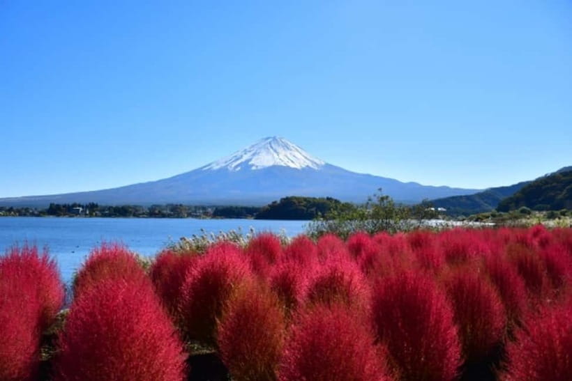 Tokyo: Mt. Fuji Highlights Tour with Lake Kawaguchi Cruise - Oishi Park and the seasons of Lake Kawaguchi