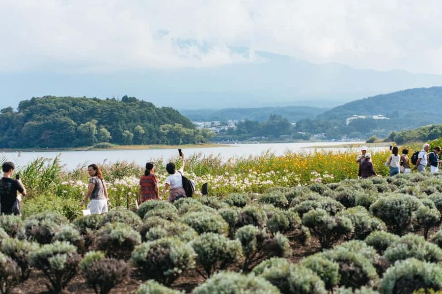 Tokyo: Mt Fuji, Kamakura, Lake Ashi & Big Buddha Guided Tour - What the $50 price really includes