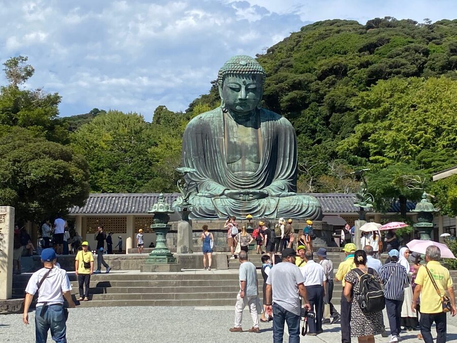 Tokyo: Mt Fuji, Kamakura, Lake Ashi & Big Buddha Guided Tour - Who will get the most from this tour