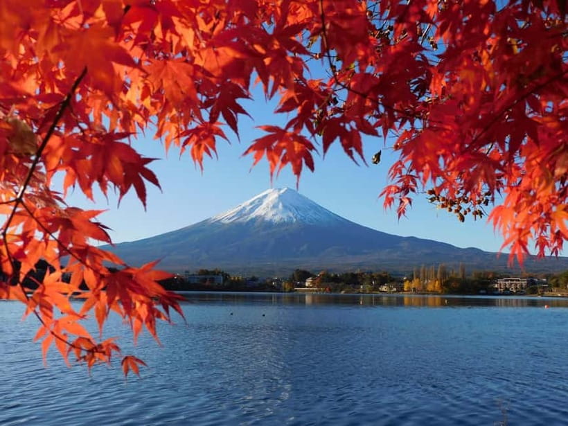 Tokyo:Mt.Fuji,Kawaguchiko Oishi Park,Arakurayama Sengen Park - Leaving Tokyo for the Fuji Five Lakes area