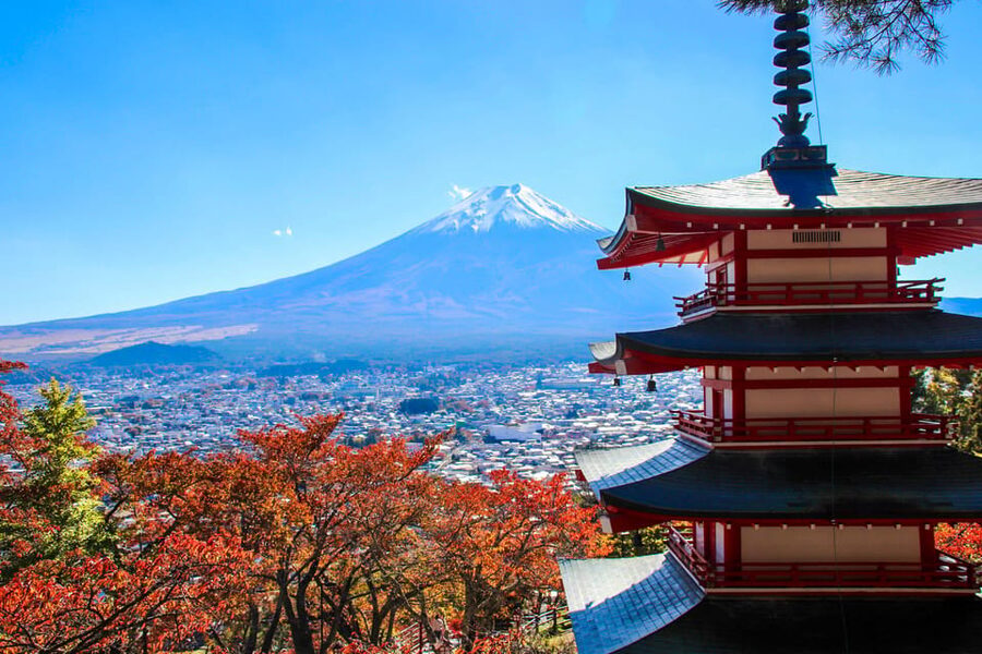 Tokyo:Mt.Fuji,Kawaguchiko Oishi Park,Arakurayama Sengen Park - Oishi Park and the 350-meter Flower Road