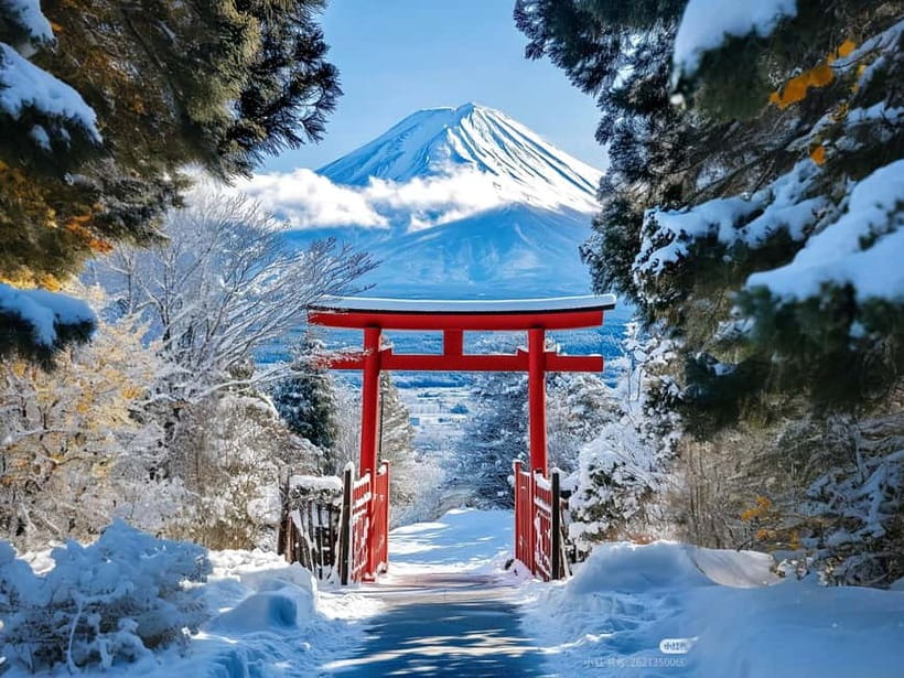 Tokyo: Mt. Fuji & Lake Kawaguchi Instagram Full Day Trip - Key points to know before booking