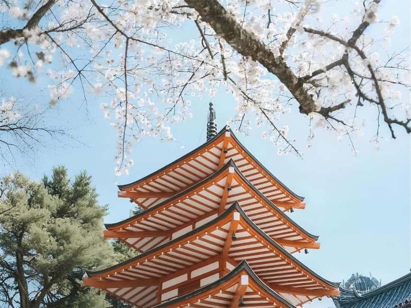 Tokyo: Mt. Fuji & Lake Kawaguchi Instagram Full Day Trip - How the bus format affects the day
