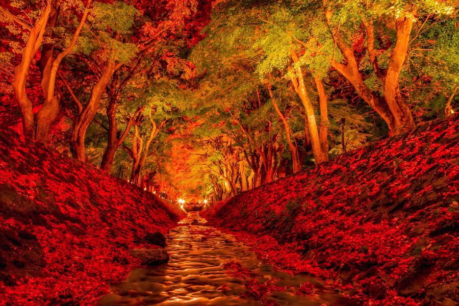 Tokyo: Mt Fuji Lake Kawaguchi & Yamanaka Hot Spring Day Tour - The long ride back to Tokyo