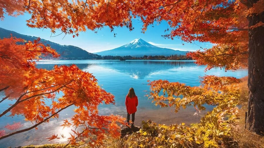 Tokyo: Mt Fuji Lake Kawaguchi & Yamanaka Hot Spring Day Tour - How the $68 price compares with the experience