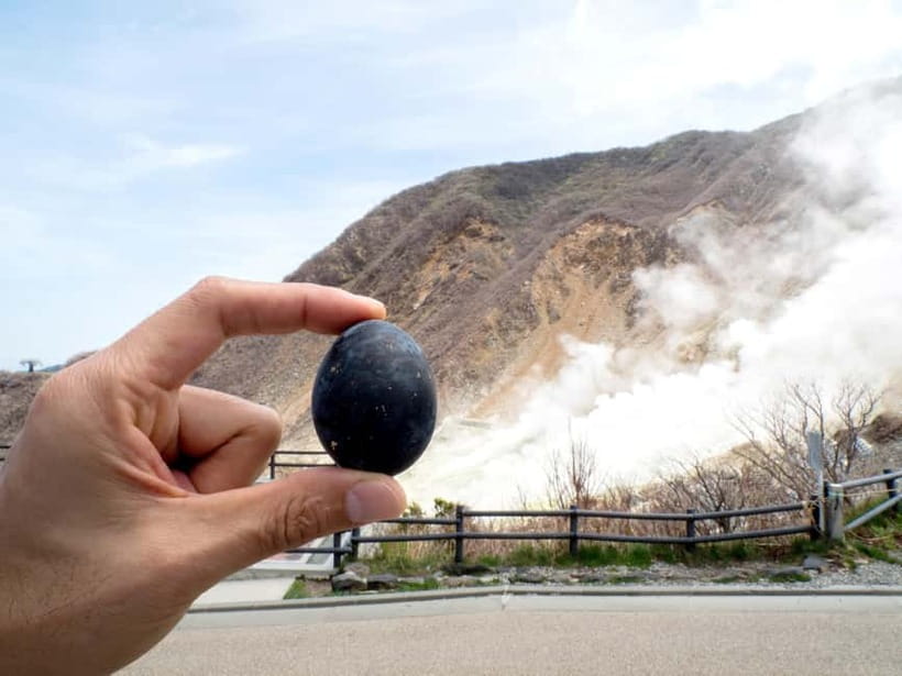 Tokyo: Mt.Fuji, Owakudani, Hakone Shrine & Open-Air Musuem - A full Hakone day from Tokyo