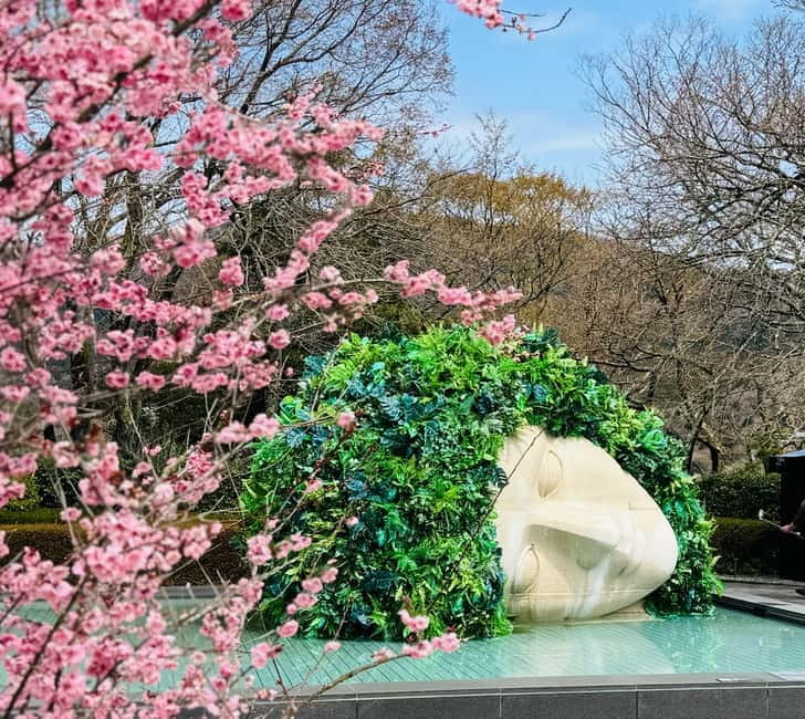 Tokyo: Mt.Fuji, Owakudani, Hakone Shrine & Open-Air Musuem - The Open-Air Museum: sculpture with room to breathe
