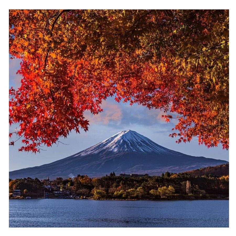 Tokyo: Mt Fuji Prado Private Tour By English-Speaking Driver - Comfort, costs, and what you still pay