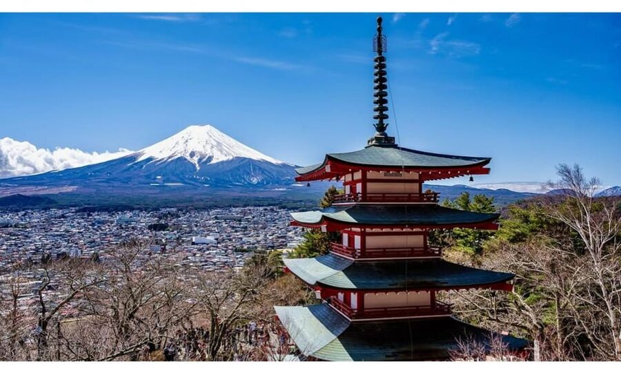 Tokyo: Mt Fuji Private Day Tour with English-speaking Driver - Why this private Fuji day trip works
