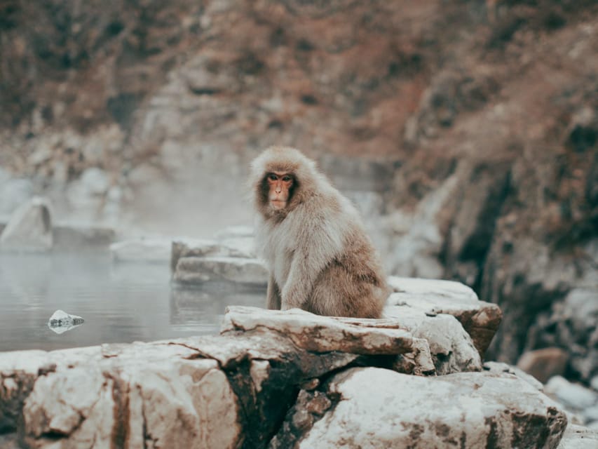 Tokyo: Nagano, Snow Monkeys and Zenko-ji Temple Private Tour - Matsushiro Castle ruins and a quieter historic stop