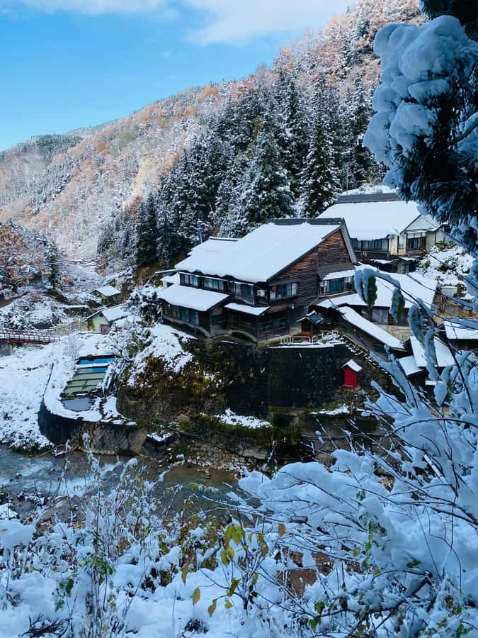 Tokyo: Nagano Tour with Snow Monkey Park & Zenko-ji Temple - Key points to know before booking