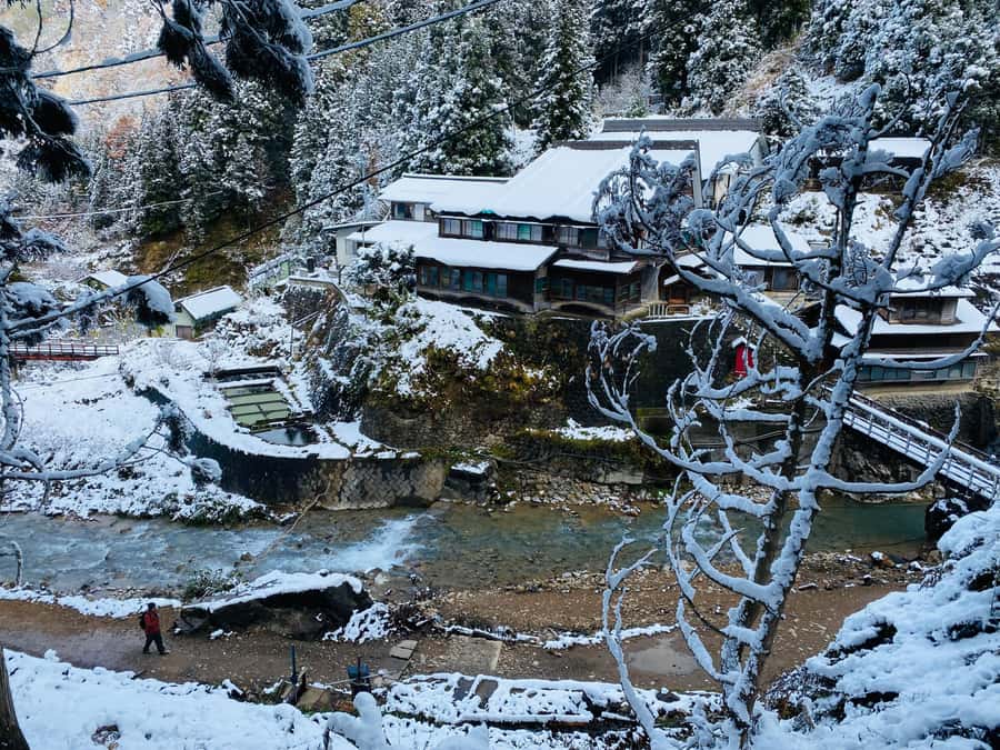 Tokyo: Nagano Tour with Snow Monkey Park & Zenko-ji Temple - Obuse and the miso stop need realistic expectations