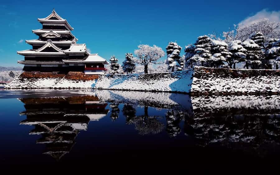 Tokyo: Nagano Tour with Snow Monkey Park & Zenko-ji Temple - What the $477 group price really buys