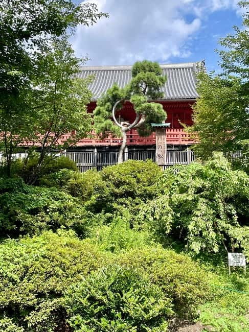 Tokyo: National Museum & Ukiyoe History Private Tour in Ueno - How the private format affects the experience