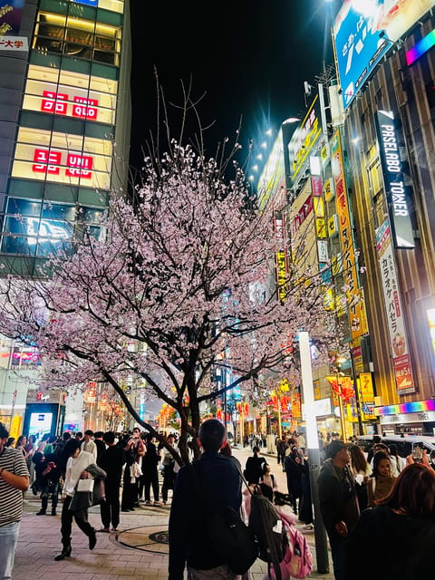 Tokyo Night Drive Wangan Expressway and Daikoku PA - Practical details that affect your night