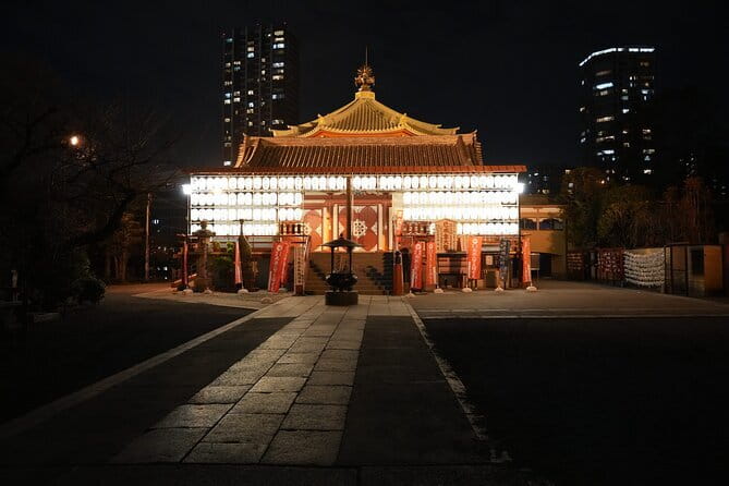 Tokyo Night Tour Akihabara, Shibuya, Karaoke and City Lights - Shibuya Crossing is a short, intense stop