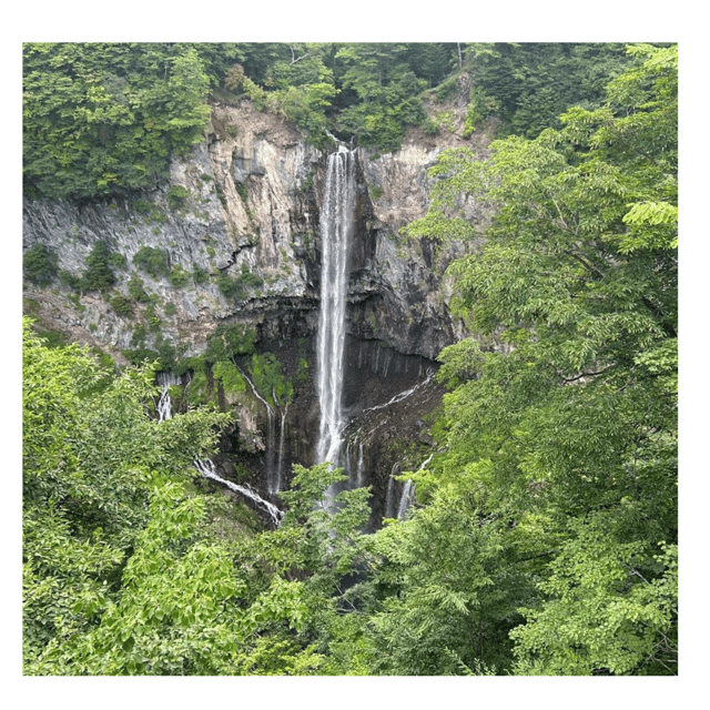 Tokyo: Nikko Kegon Falls Lake Chuzenji Toshogu Temple & More - Key points at a glance
