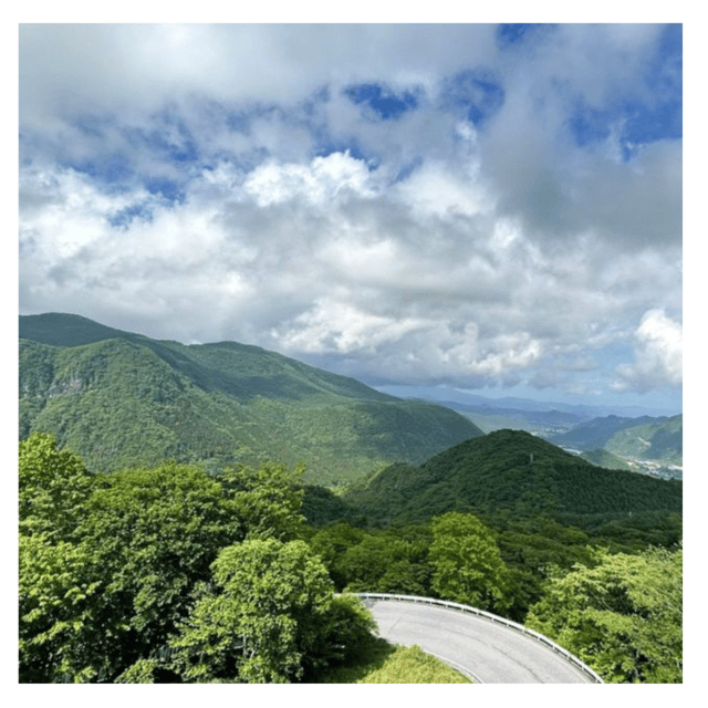 Tokyo: Nikko Kegon Falls Lake Chuzenji Toshogu Temple & More - Edo Wonderland and the limits of a short visit