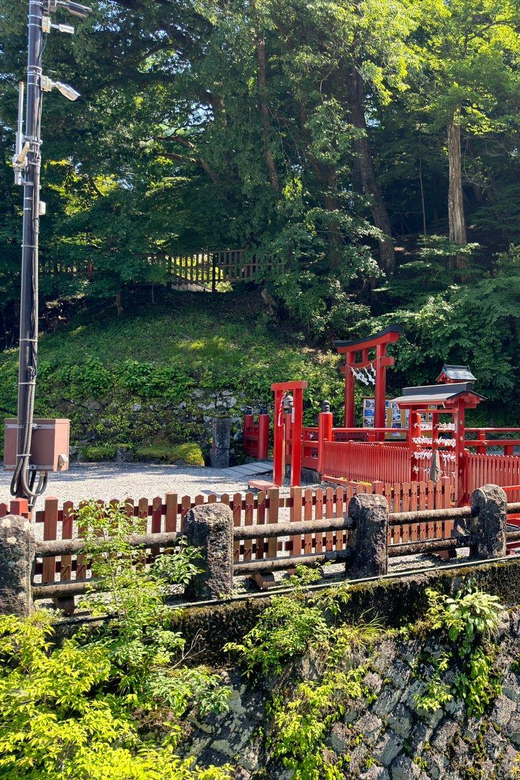 Tokyo: Nikko Private Day Tour - Akechidaira Observation Deck and the mountain views