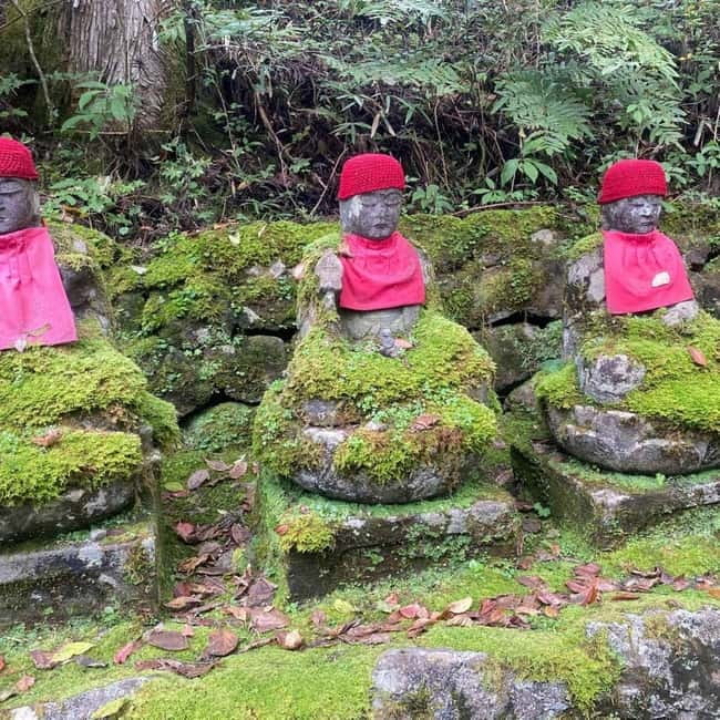 Tokyo: Nikko Private Day Tour Fully Customizeable Low Price - Lunch and the Edo Wonderland choice