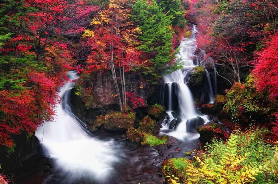 Tokyo: Nikko Private Day Tour with English Speaking Driver - The two-hour ride from Tokyo to Nikko