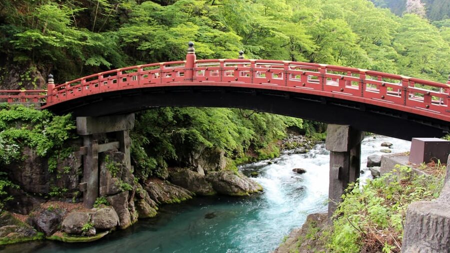 Tokyo: Nikko Private Day Tour With Guide - Key points before you book