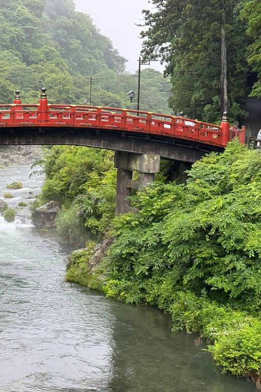 Tokyo: Nikko Private Day Tour With Guide - What the private vehicle changes