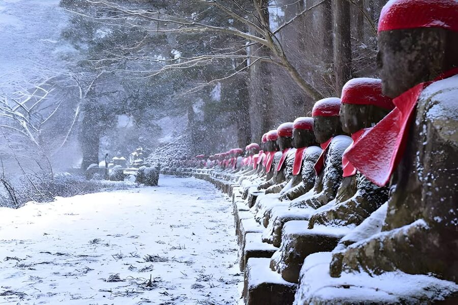 Tokyo: Nikko Private Sightseeing Day Trip with Driver - What the private format really adds