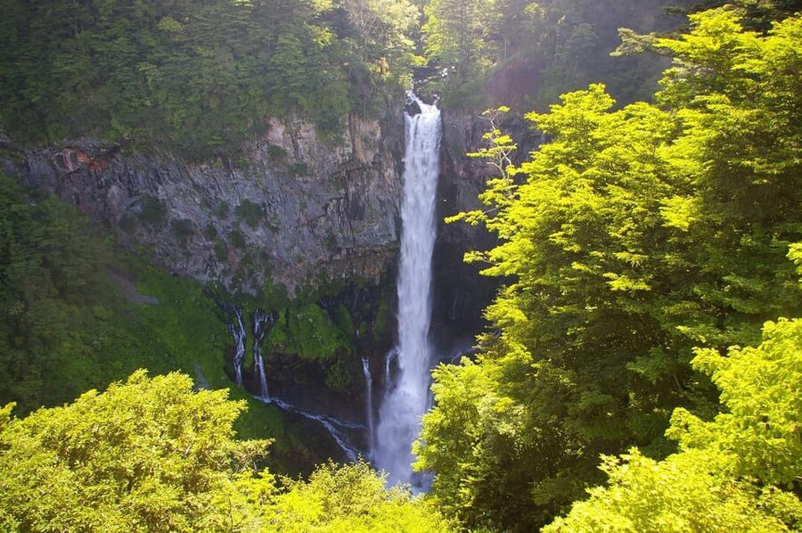 Tokyo: Nikko Private Sightseeing Day Trip with Driver - The $428 group price and who gets the best value