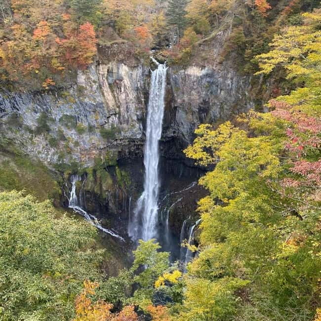 Tokyo:Nikko UNESCO World Heritage Sites Private 1-Day Tour - Rinnoji Temple and Futarasan Shrine